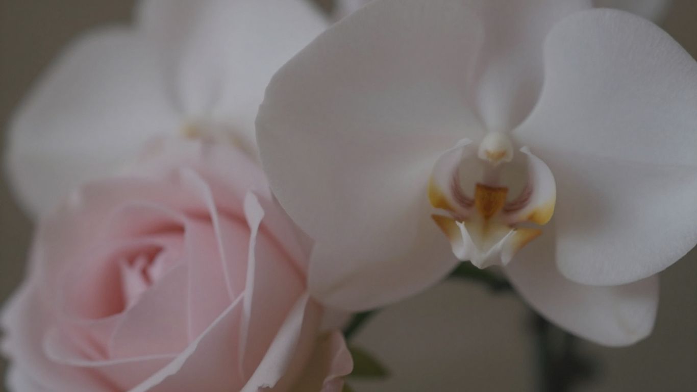 Flores delicadas e curvas suaves sugerindo intimidade e beleza.